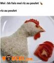 Riz au poulet