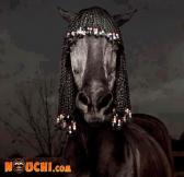 Le cheval choco !!!!