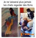 Gagaga le roi chat